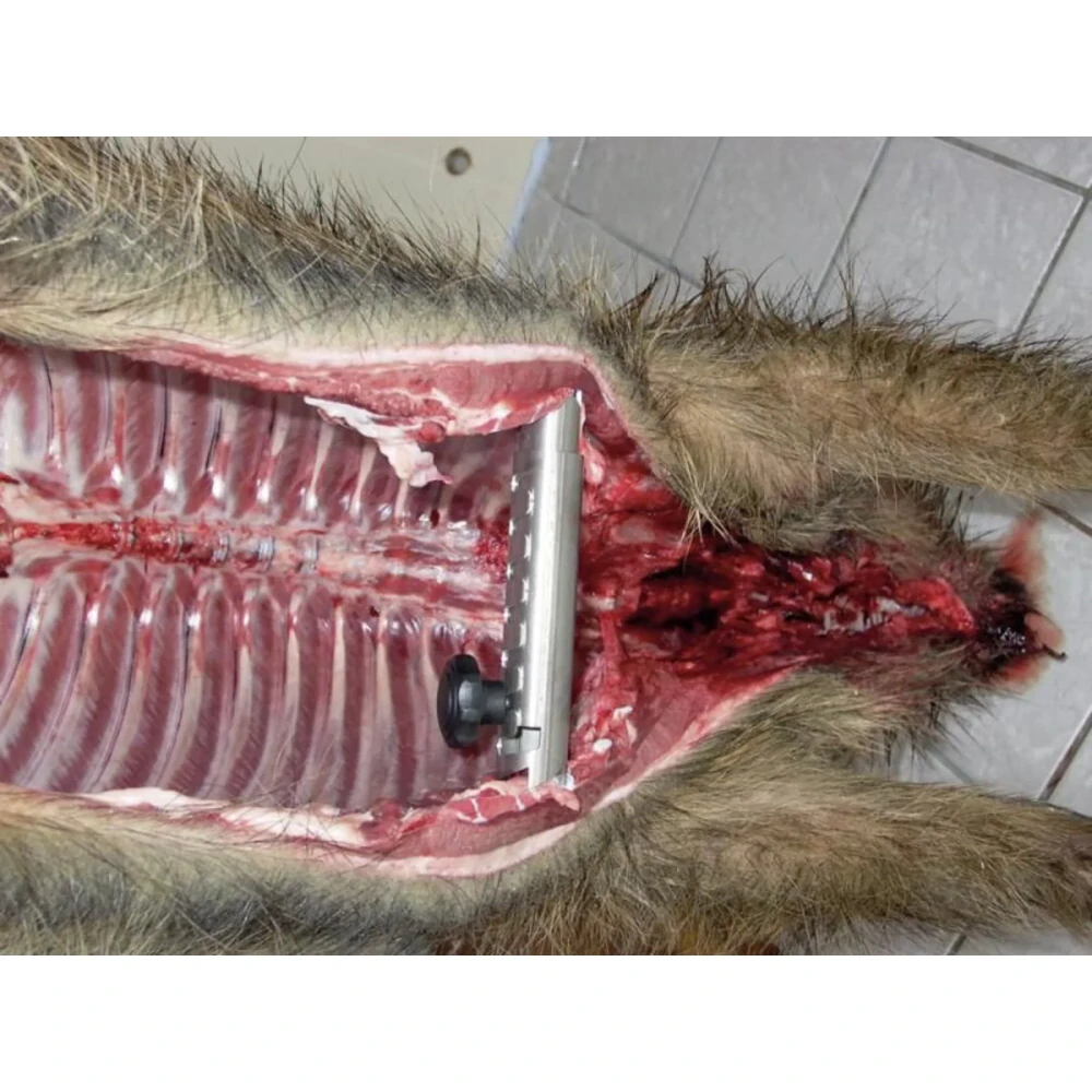 Roztahovač hrudi velký 265-345 mm, 400g